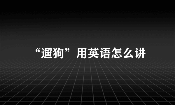 “遛狗”用英语怎么讲