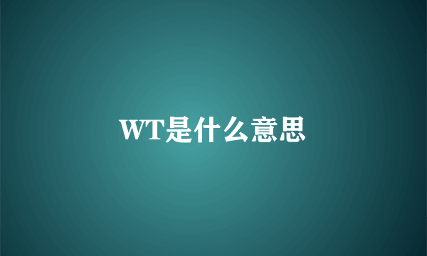 WT是什么意思