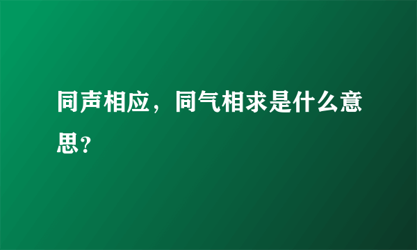 同声相应，同气相求是什么意思？