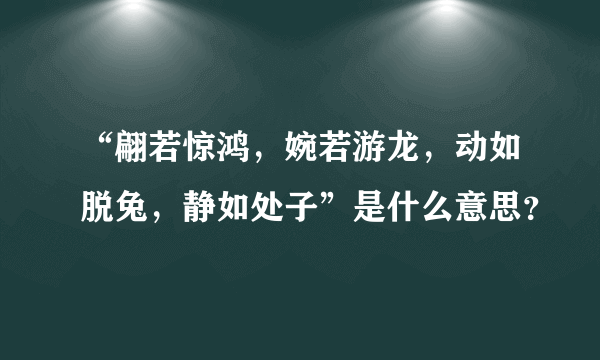 “翩若惊鸿，婉若游龙，动如脱兔，静如处子”是什么意思？