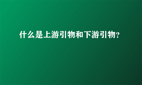 什么是上游引物和下游引物？