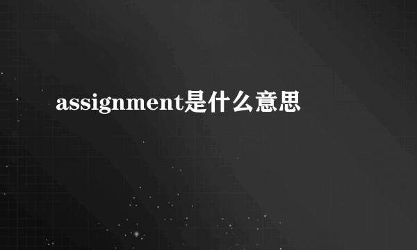 assignment是什么意思