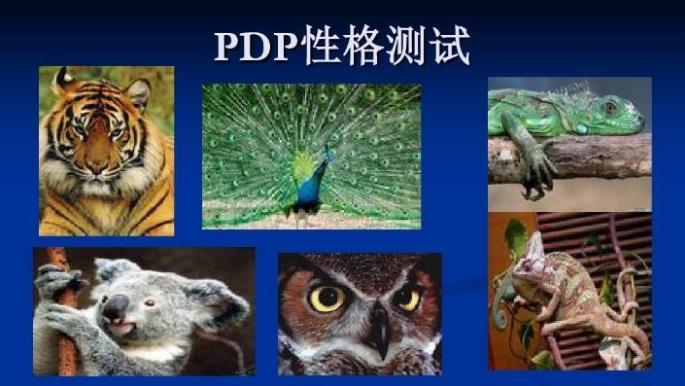 pdp是什么？