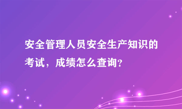 安全管理人员安全生产知识的考试，成绩怎么查询？