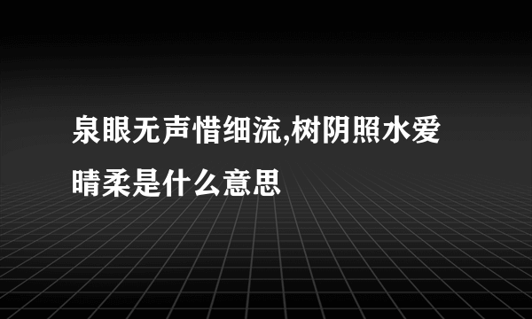 泉眼无声惜细流,树阴照水爱晴柔是什么意思