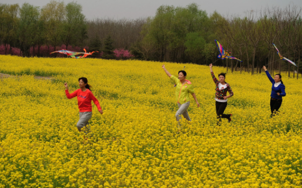 节日的习俗有哪些?