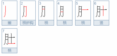 肚笔画顺序怎么写