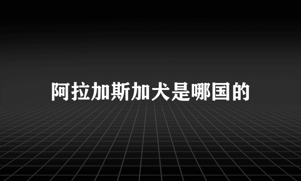 阿拉加斯加犬是哪国的