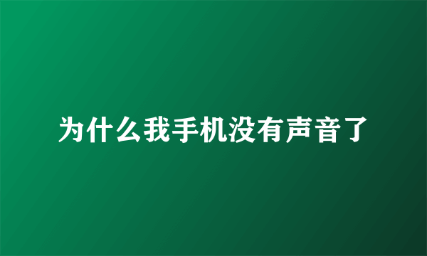 为什么我手机没有声音了