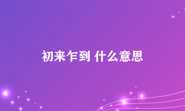 初来乍到 什么意思