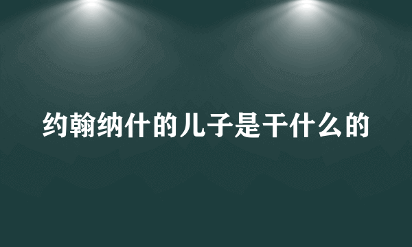 约翰纳什的儿子是干什么的