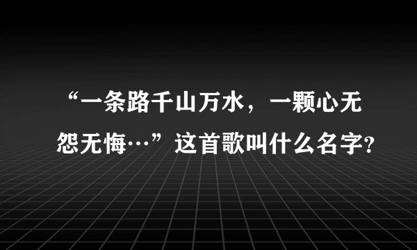 “一条路千山万水，一颗心无怨无悔…”这首歌叫什么名字？