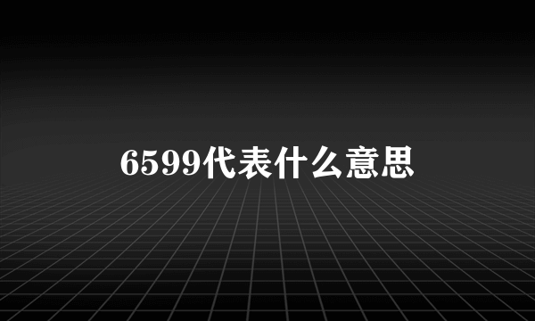 6599代表什么意思