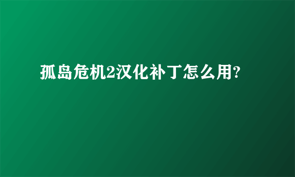 孤岛危机2汉化补丁怎么用?