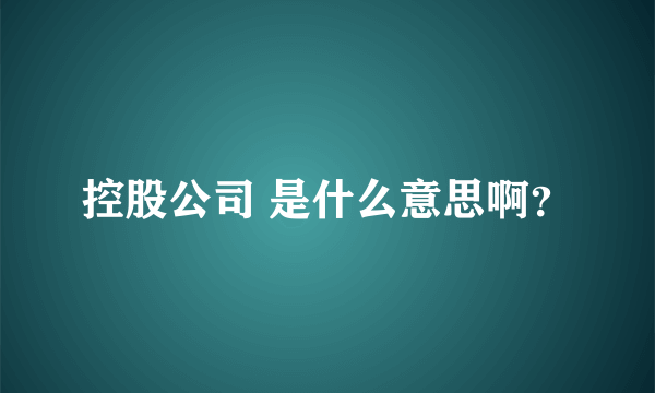 控股公司 是什么意思啊？