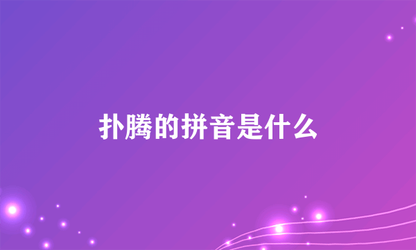 扑腾的拼音是什么