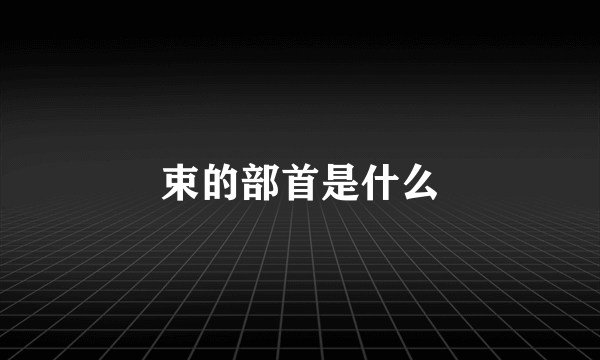 束的部首是什么