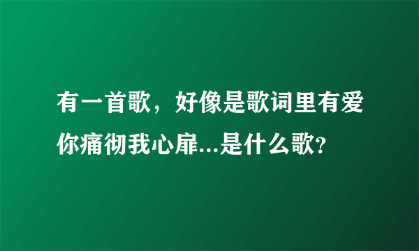 有一首歌，好像是歌词里有爱你痛彻我心扉...是什么歌？