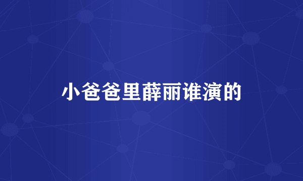 小爸爸里薛丽谁演的