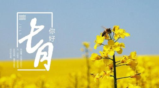 JY是什么意思