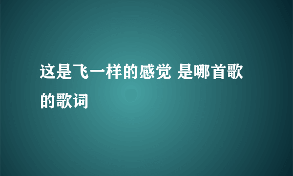 这是飞一样的感觉 是哪首歌的歌词