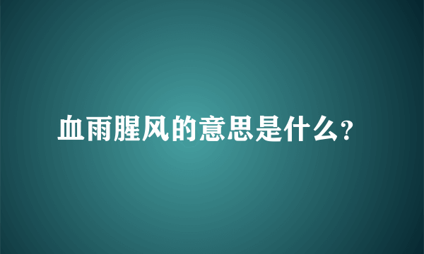 血雨腥风的意思是什么？