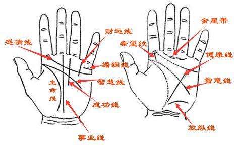 看手相真的准吗？