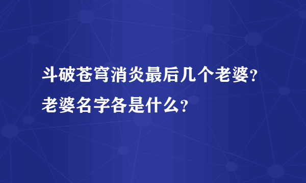 斗破苍穹消炎最后几个老婆？老婆名字各是什么？