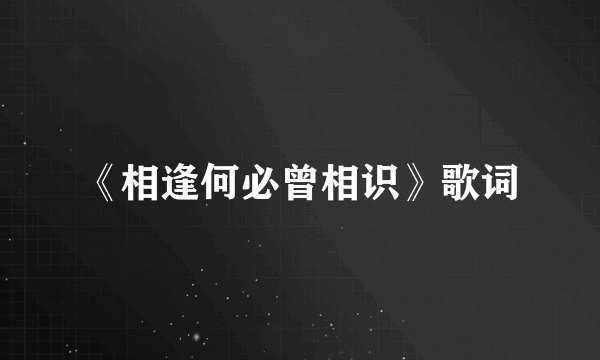 《相逢何必曾相识》歌词