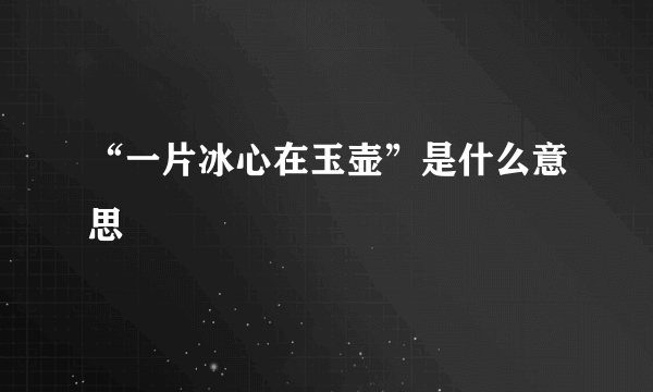 “一片冰心在玉壶”是什么意思