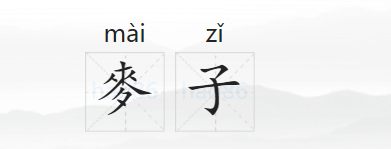 麦子的拼音