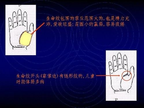 怎样看掌纹