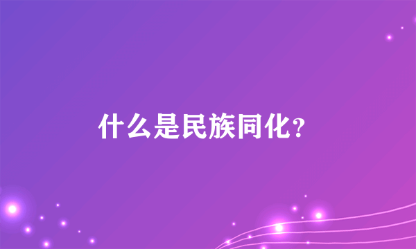 什么是民族同化？