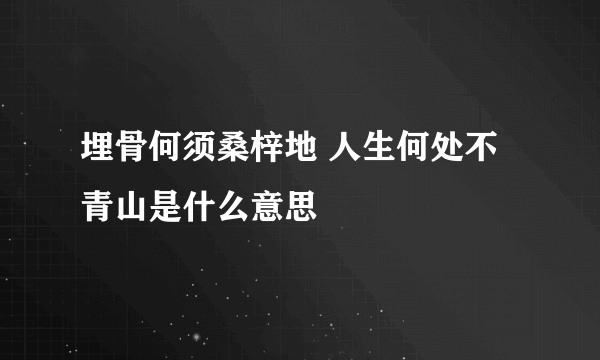 埋骨何须桑梓地 人生何处不青山是什么意思