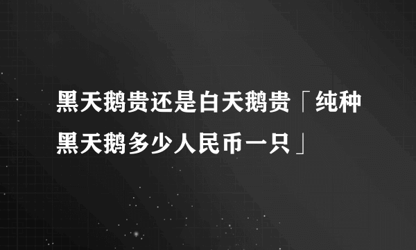 黑天鹅贵还是白天鹅贵「纯种黑天鹅多少人民币一只」