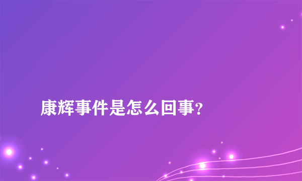 
康辉事件是怎么回事？

