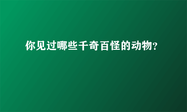 你见过哪些千奇百怪的动物？