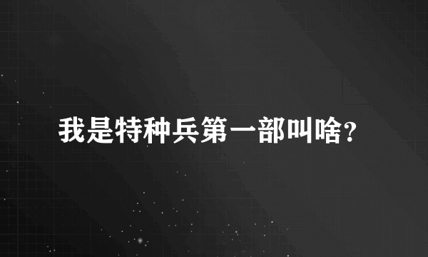 我是特种兵第一部叫啥？