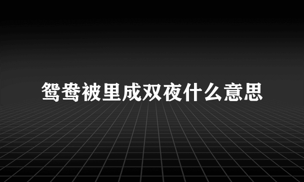 鸳鸯被里成双夜什么意思