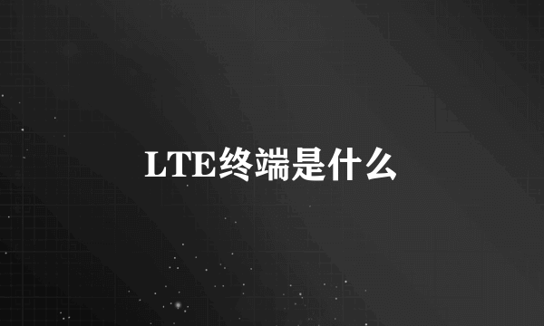 LTE终端是什么