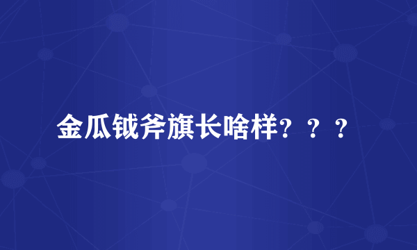 金瓜钺斧旗长啥样？？？