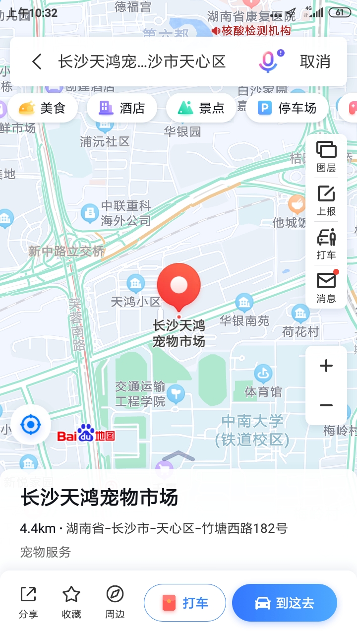 长沙哪里有宠物市场？