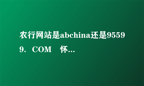 农行网站是abchina还是95599．COM　怀疑钓鱼网站？急！求助