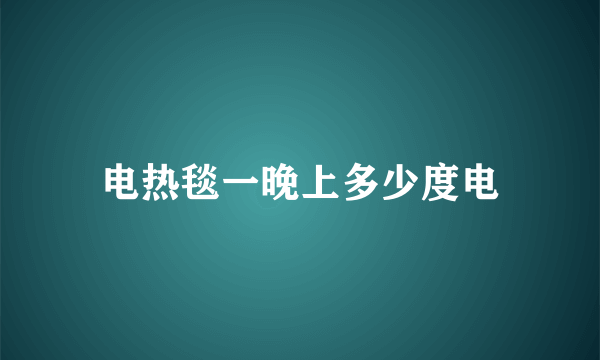 电热毯一晚上多少度电