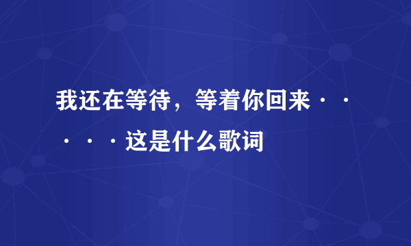 我还在等待，等着你回来·····这是什么歌词