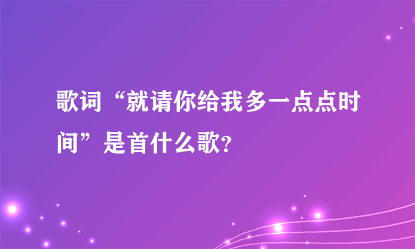 歌词“就请你给我多一点点时间”是首什么歌？