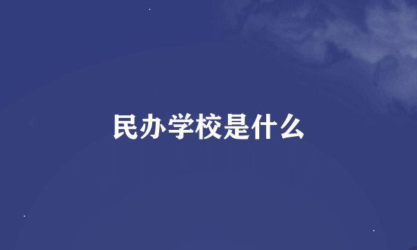 民办学校是什么