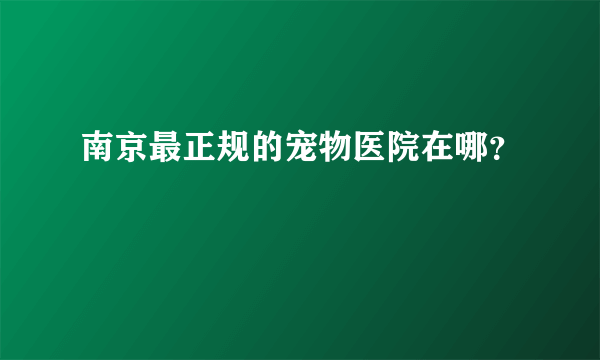 南京最正规的宠物医院在哪？