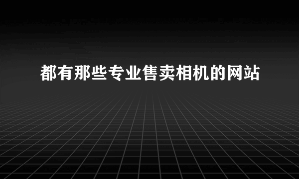 都有那些专业售卖相机的网站