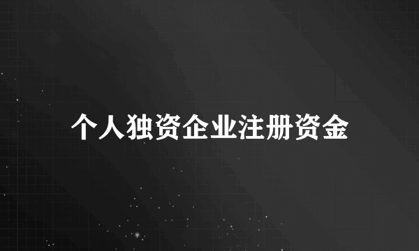 个人独资企业注册资金